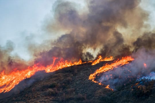 Protege tu propiedad de incendios en Santa Ana y Palisades