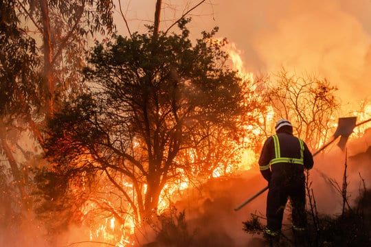 Reclamos Por Incendios Forestales En California