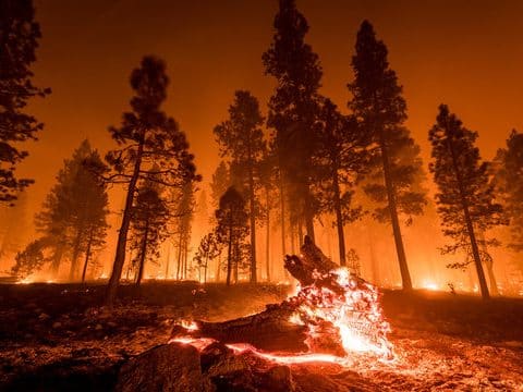 Ayudando a las Víctimas de Incendios Forestales en el Sur de California: Abogados de Daños a Propiedades