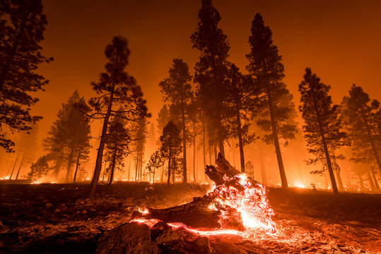 Ayudando a las Víctimas de Incendios Forestales en el Sur de California: Abogados de Daños a Propiedades