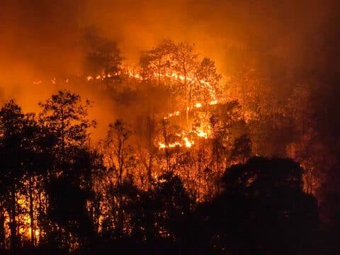 Abogados De Daños Por Incendios En Los Ángeles