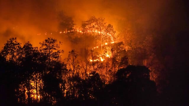 Abogados De Daños Por Incendios En Los Ángeles