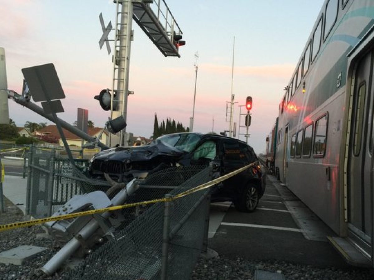 se permiten perros en los trenes de amtrak