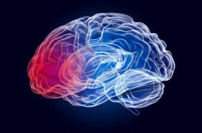 Abogados Especializados En Lesiones Cerebrales Traumáticas De Anaheim