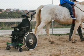Abogados Especializados En Lesiones Por Animales De Buena Park