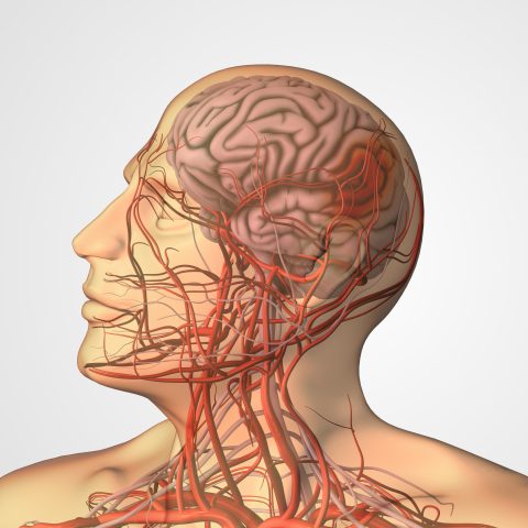 Abogado De Lesiones Por Paraplejia, Tetraplejia O Cuadriplejia