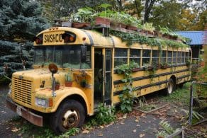 Demandar autobús por negligencia